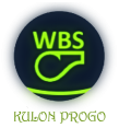 WBS